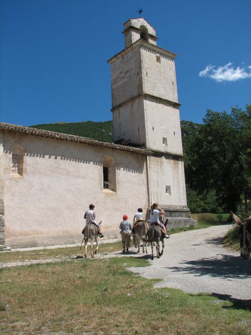 asinelli-28.JPG